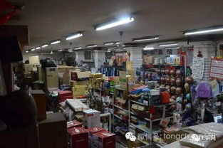 桃花綻放迎客來，秦人村落笑聲多——互聯網創新為鄉村旅鋪就“云端”致富路
